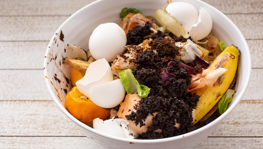 How to Use Eggshells, Banana Peels, and Coffee Grounds in the Garden