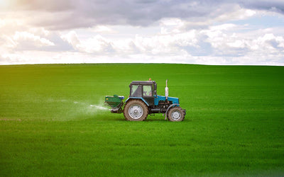 "Forever Chemicals" Detected in Insecticides