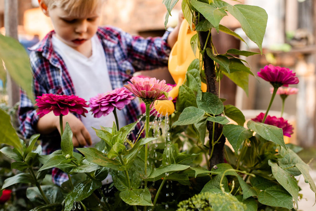 gardening, little boy watering plants, green living supply, vegi trug elevated garden for kids