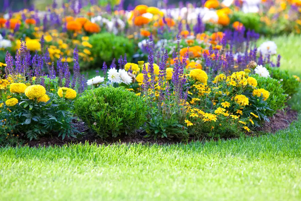 Why Landscaping Mulch Can Spontaneously Combust—and How to Prevent It
