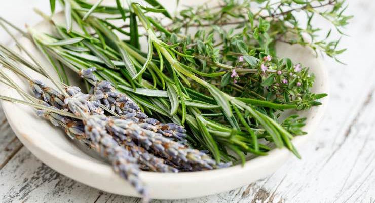 Dried herbs in a white bowl.  How to harvest herbs.  Green Living Supply