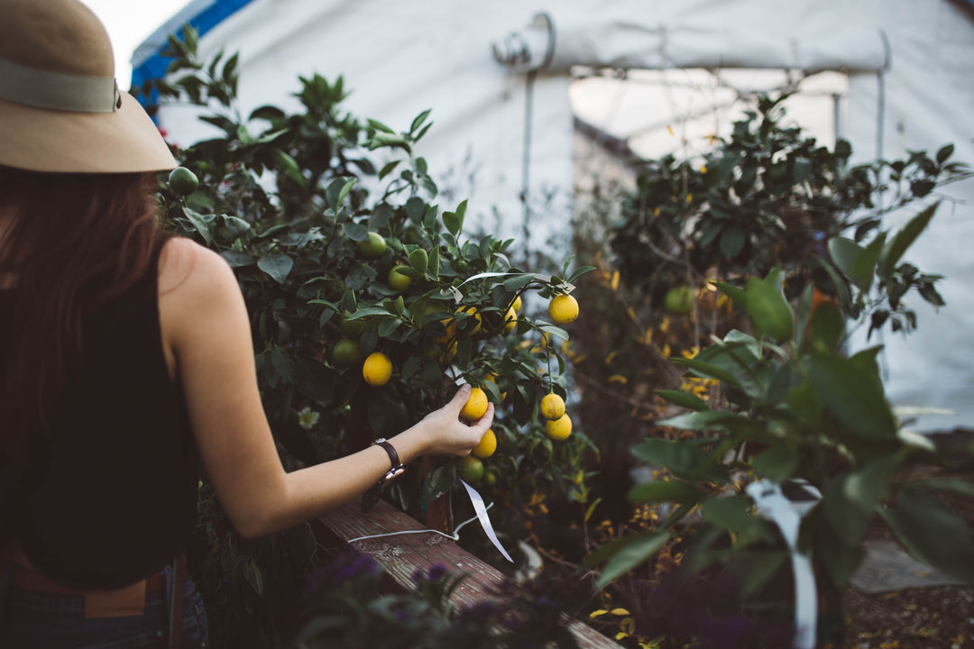 Greenhouses, damp down your greenhouse, gardening, organic, mulch, greenhouses at Green Living Supply