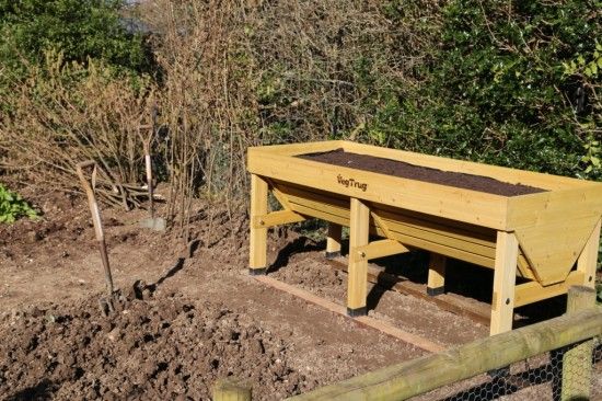 A better place for growing vegetables: VegTrug on the veg. plot