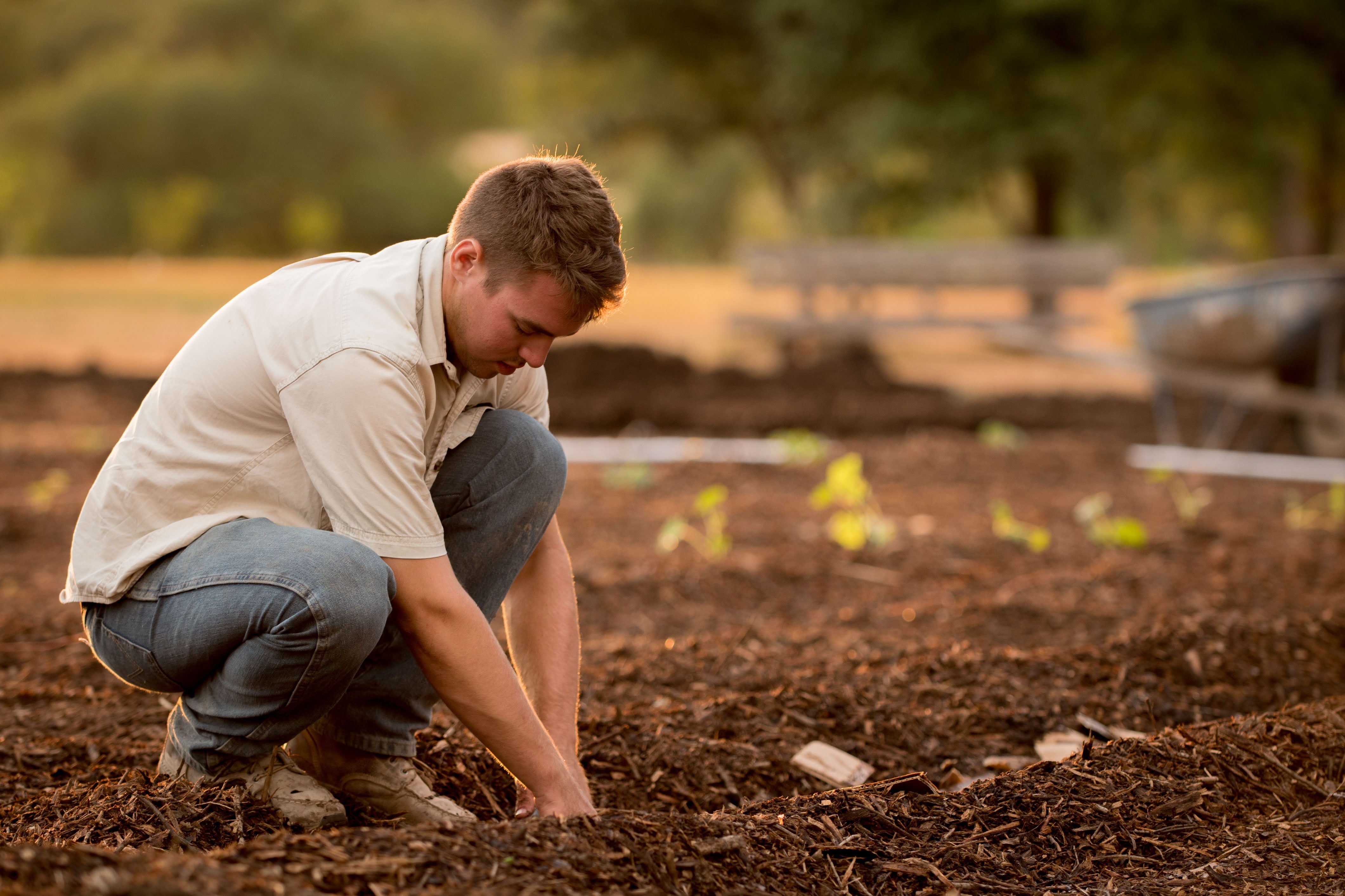 Man kneeling down in garden with his hands in the dirt, compost