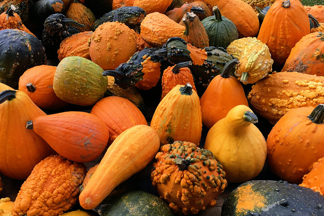 13 survival gardening crops to grow to live off your garden - squash, yams, carrots