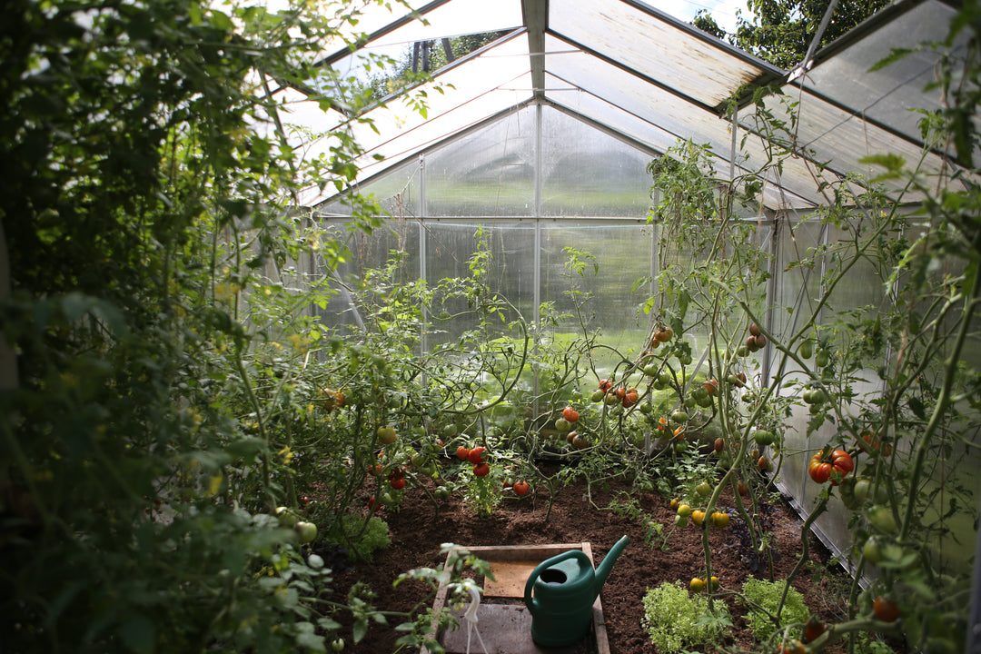 Green Living Supply, greenhouses, greenhouse, go green, gardening
