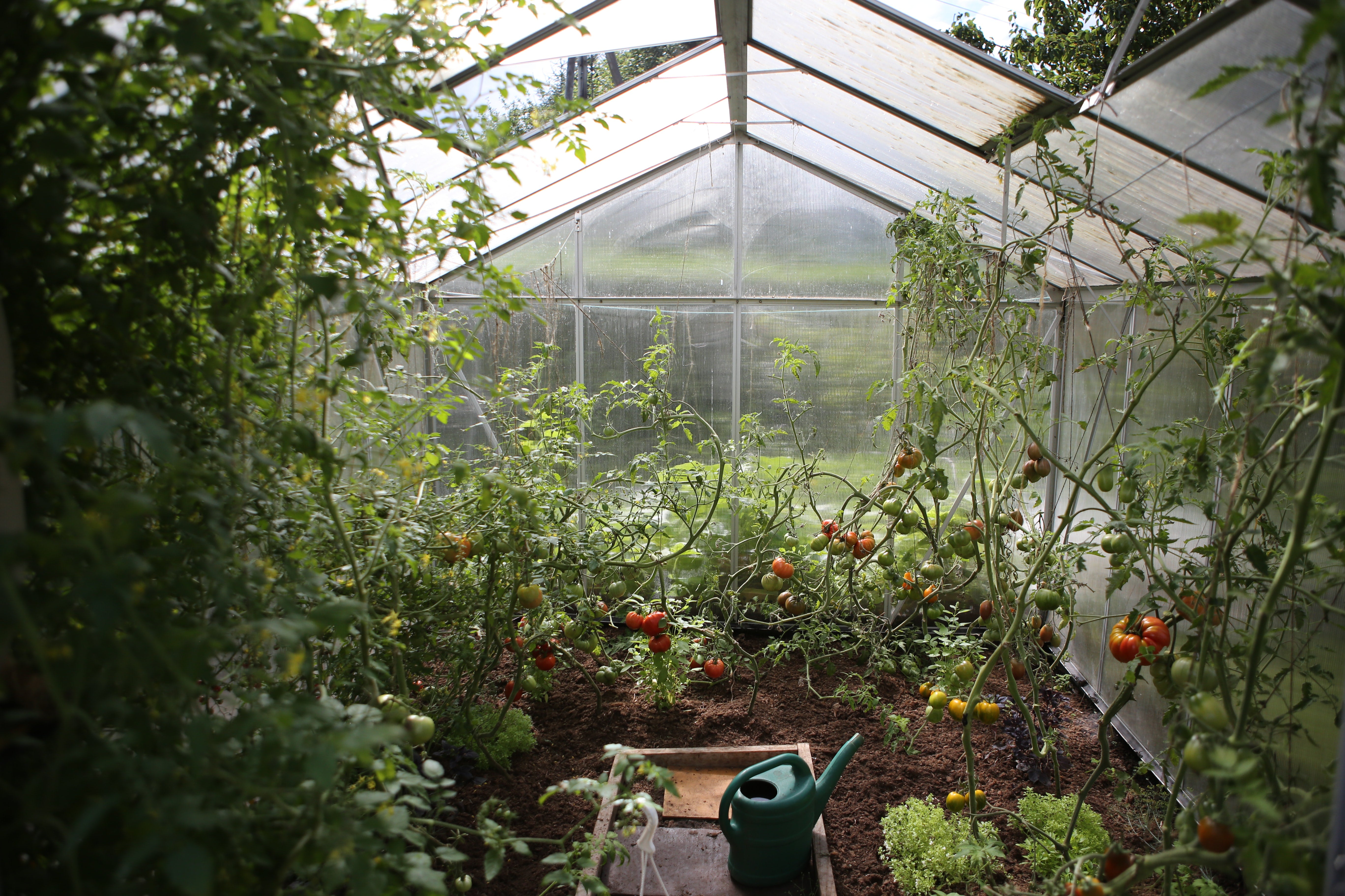 Green Living Supply, greenhouses, greenhouse, go green, gardening