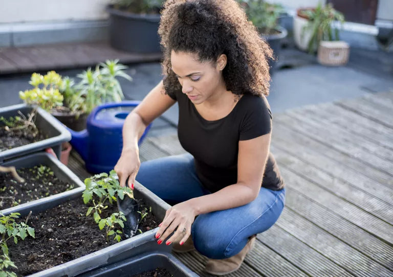 The Secret to Container Vegetable Gardening