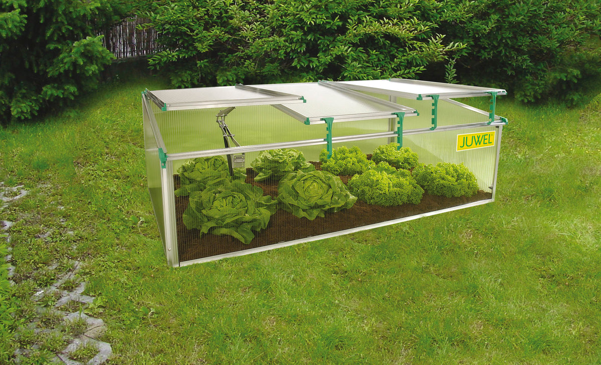 Cold Frame Gardens