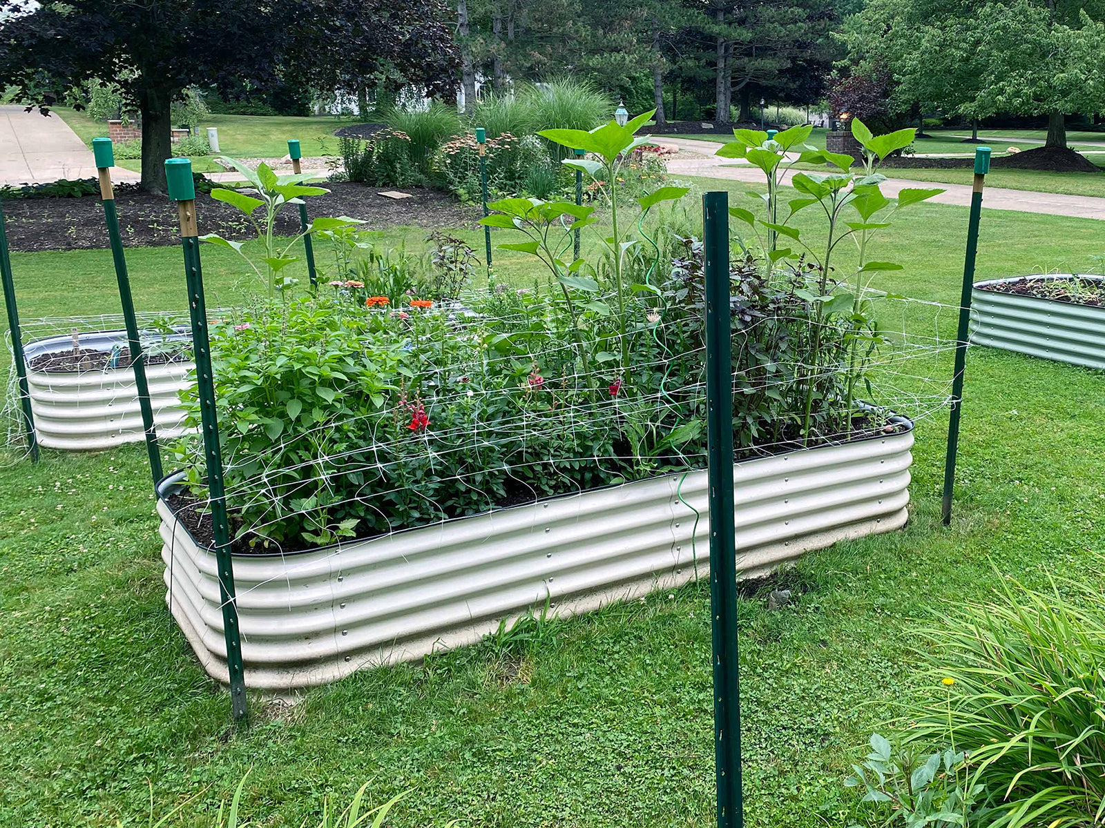 Vego Garden Raised Bed