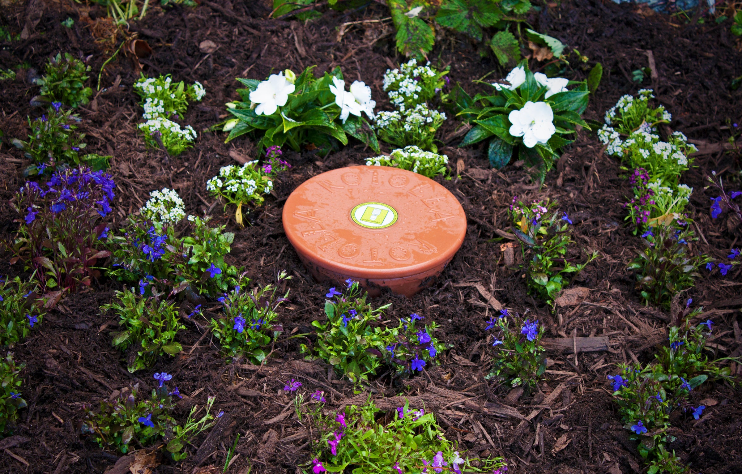 Garden Accessories