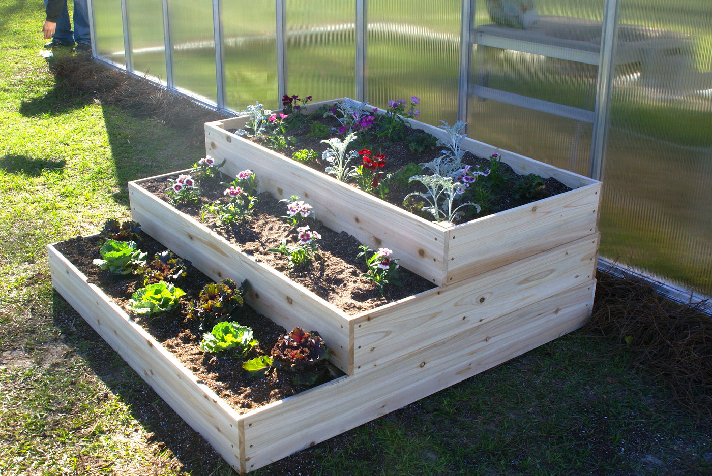 Veg Trug Raised Bed