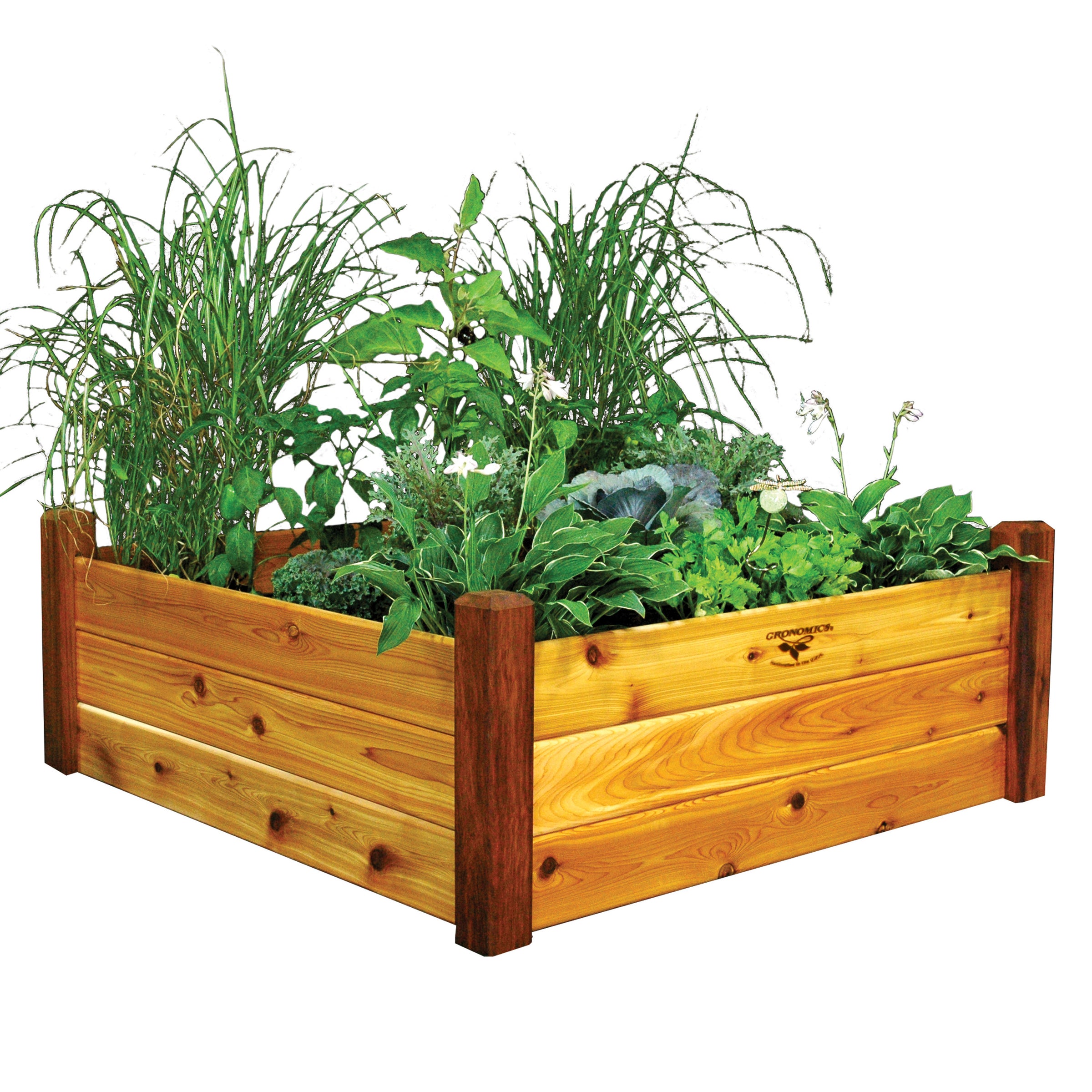 Raised Bed Gardens