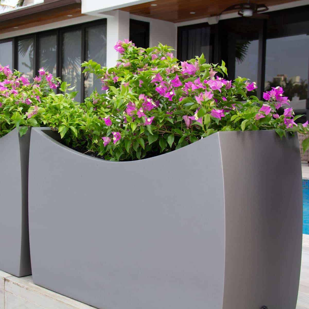 Planters