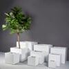 Jay Scotts Montroy Cube Planter 12" l 12" W x 12" H