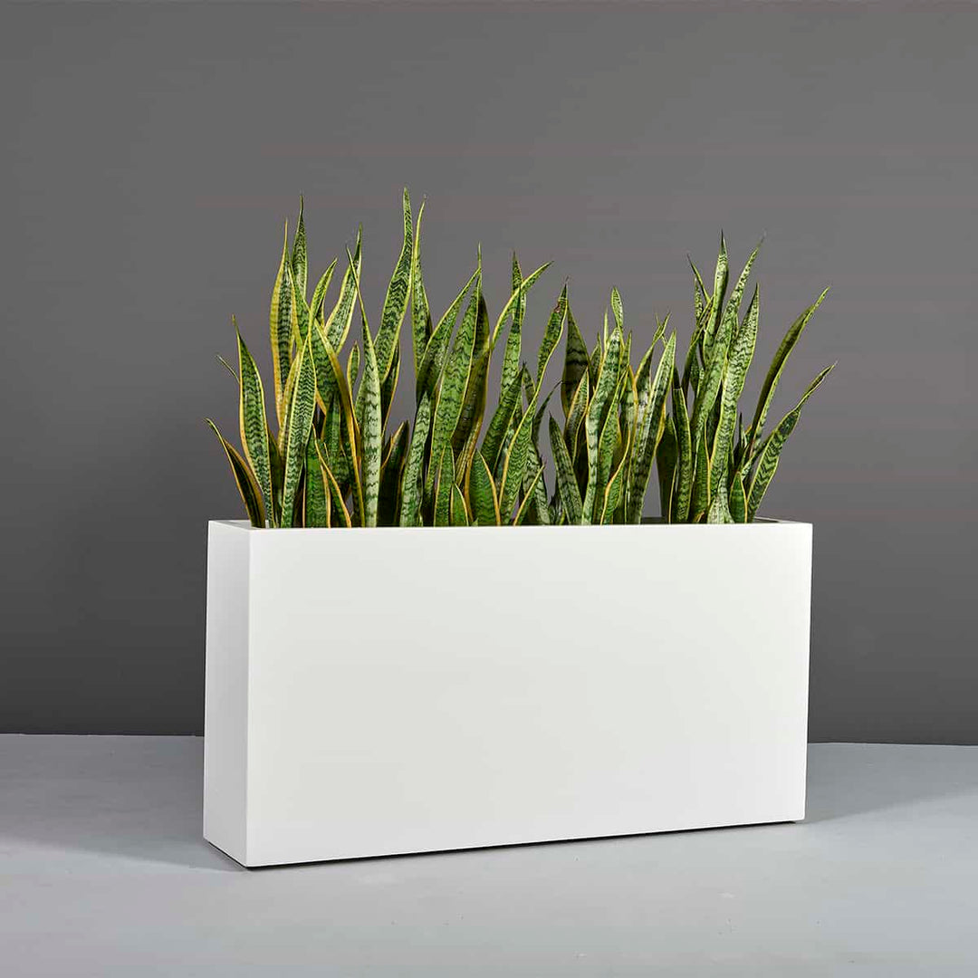 Jay Scotts Milano Long Rectangle Fiberglass Planter 36" L x 10" W x 24" H