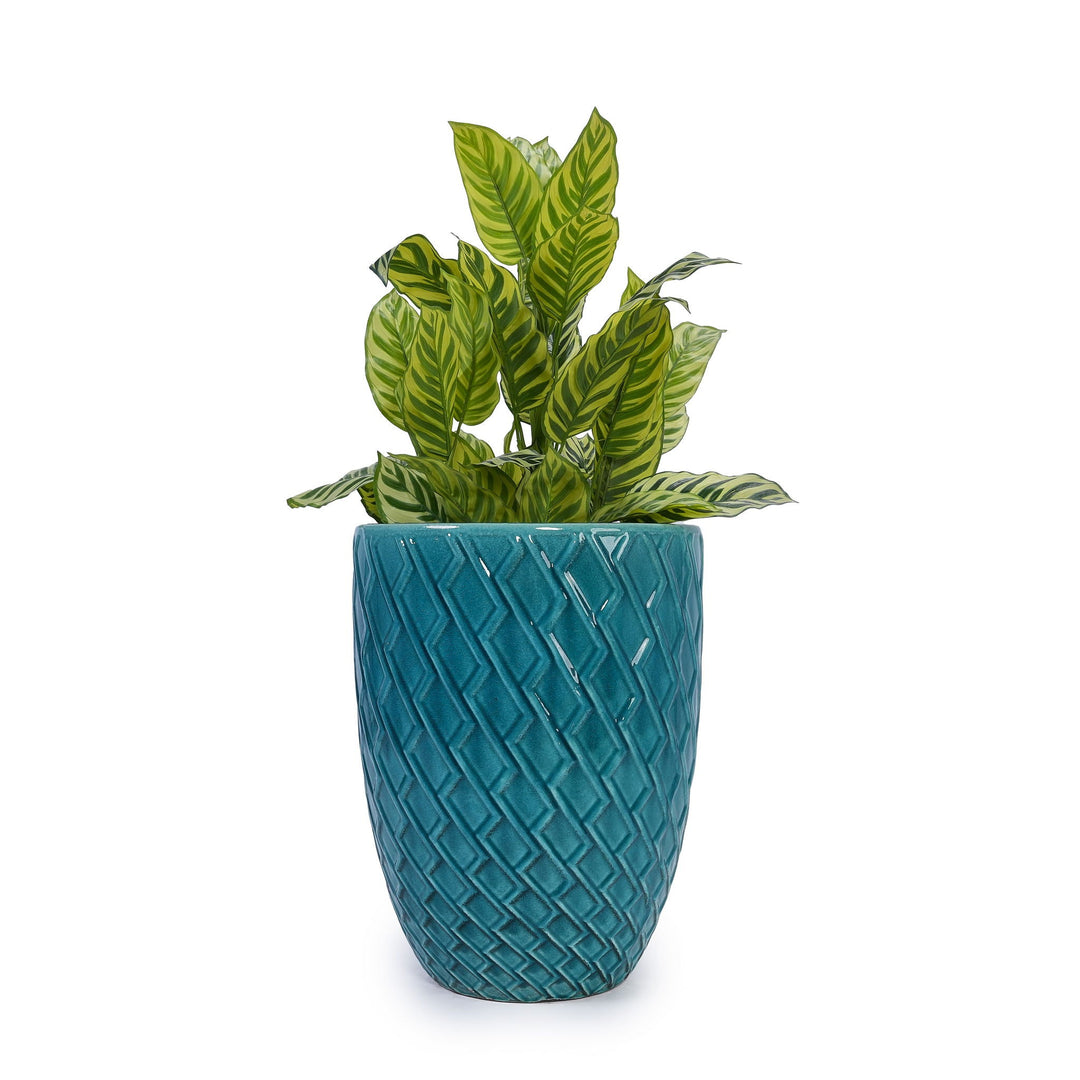 Ceramic Flowerpot, Planter For Patio, Garden, Windowsill