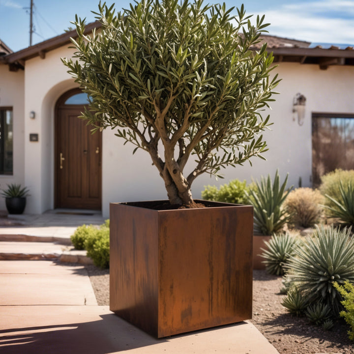 Oversized Corten Steel Cube Planters - FREE SHIPPING!