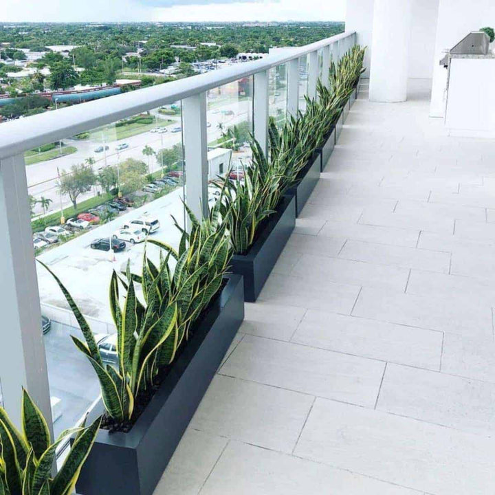 Jay Scotts Salon Rectangle Fiberglass Planter- 42" L x 8" W x 8" H