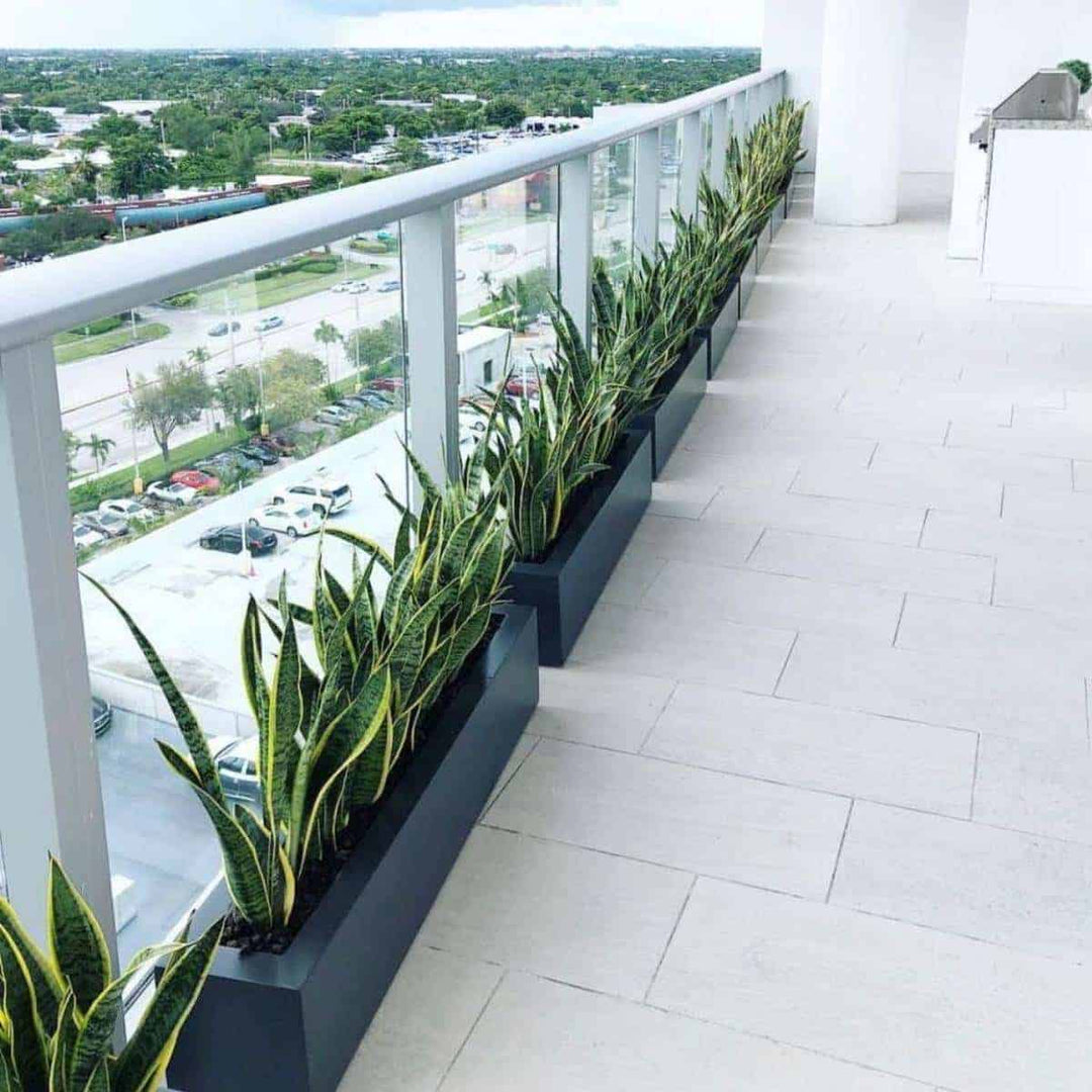 Jay Scotts Salon Rectangle Fiberglass Planter- 42" L x 8" W x 8" H