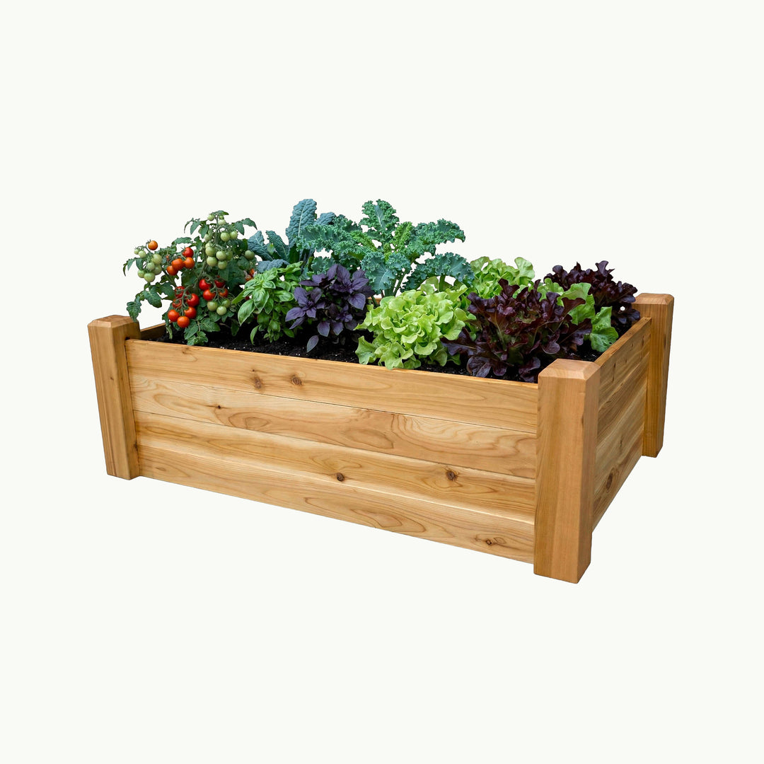 Gronomics Raised Garden Bed - 24" x 48" x 16"-