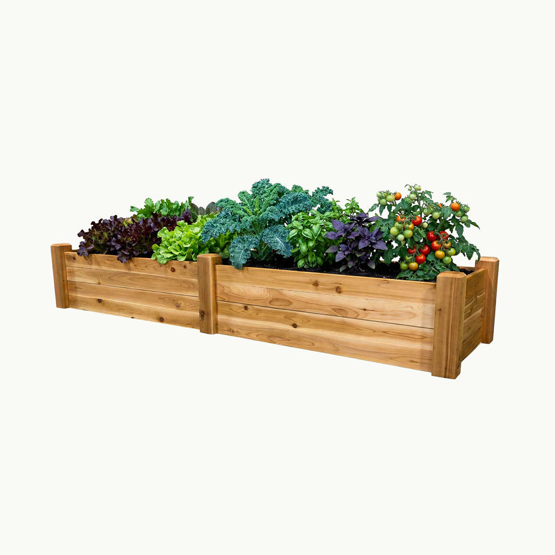 Gronomics Raised Garden Bed - 24" x 95" x 16"