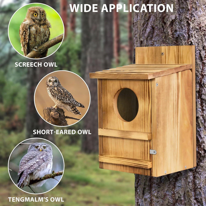 Outdoor Wooden Screech Owl BirdHouse for Mounting - Made in the U.S.A