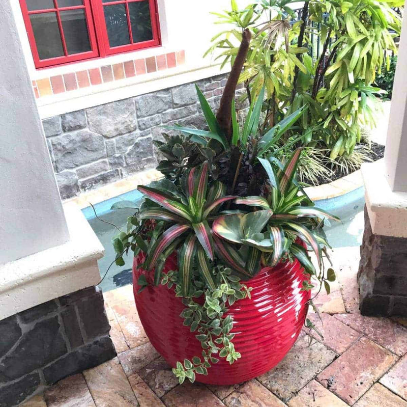 Jay Scotts Spiral Modern Globe Planter