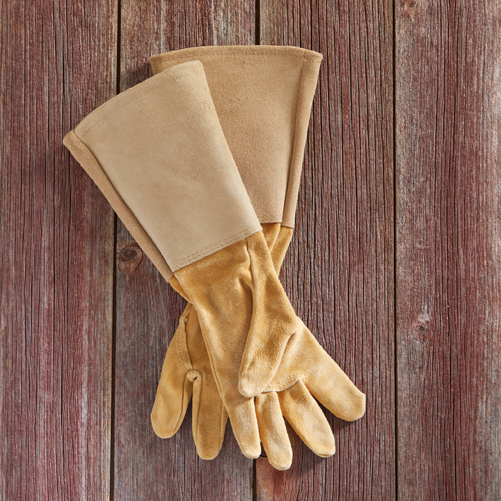 All Leather Gauntlet Glove, Arm Saver