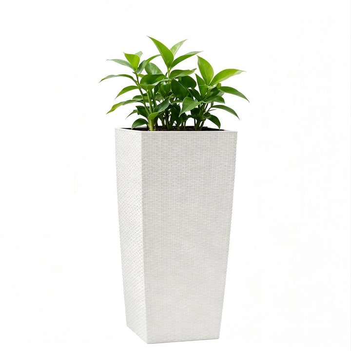 Indoor Outdoor Planter With Automatic Watering System