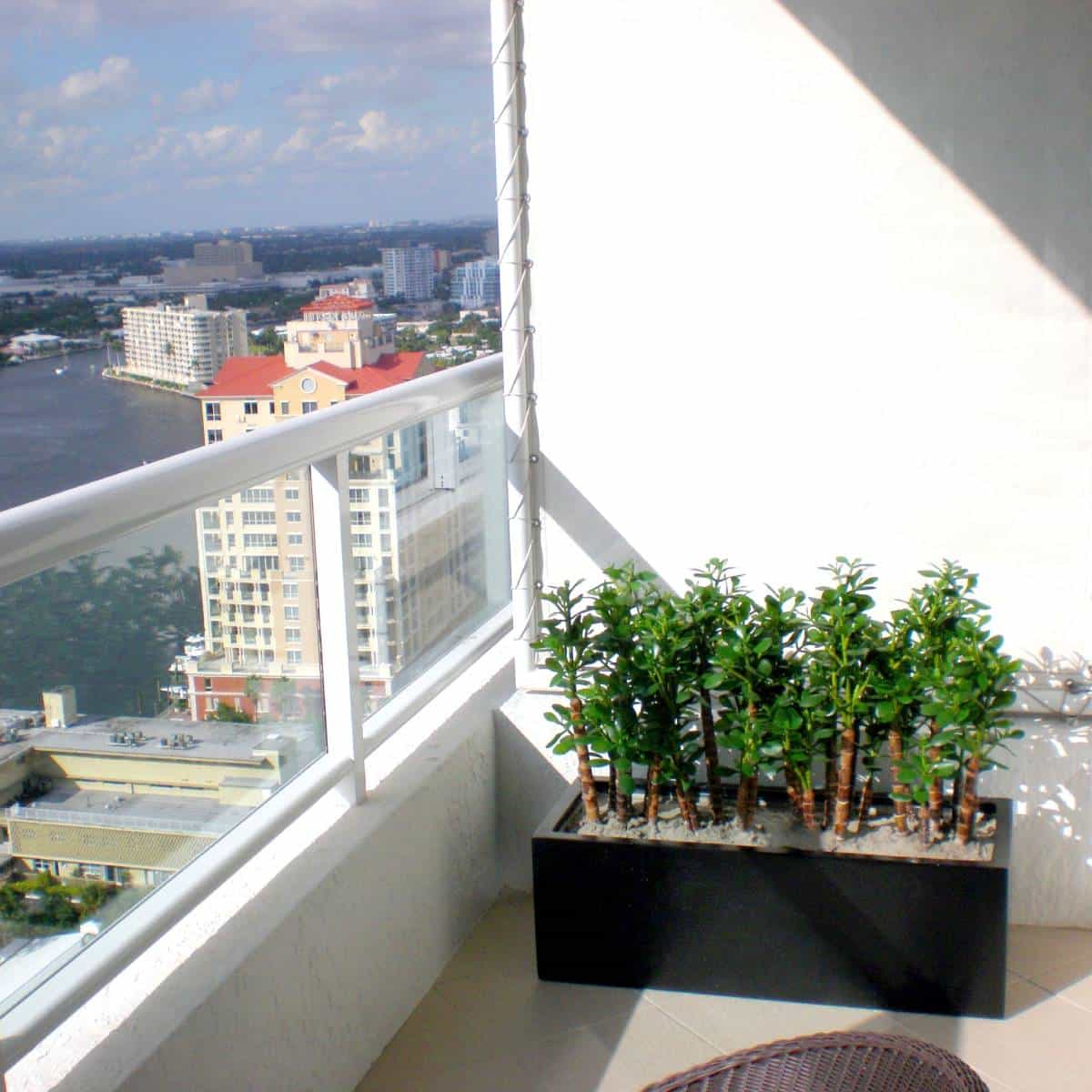 Jay Scotts Cuba Low Rectangular Planter