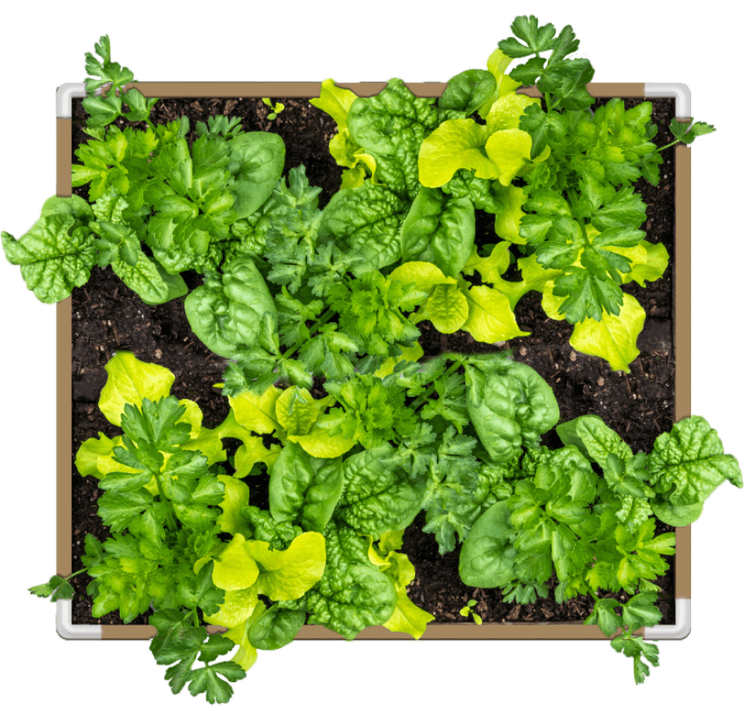 DIY Living Soil Fabric Bed