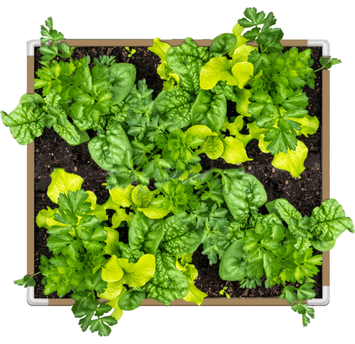 DIY Living Soil Fabric Bed