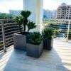 Montroy Square Fiberglass Planter in matte dark brown with square shape on outdoor balcony, lightweight and UV protected