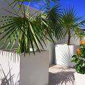 Montroy Square Fiberglass Planter in metallic silver with palm greenery, UV-protected, frost-resistant, and lightweight design