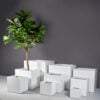 Montroy Square Fiberglass Planter in white with varied sizes showcasing smooth matte finish and square geometric shape