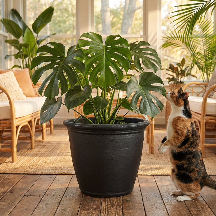 Anjelica Polyresin Large Round Outdoor Planter