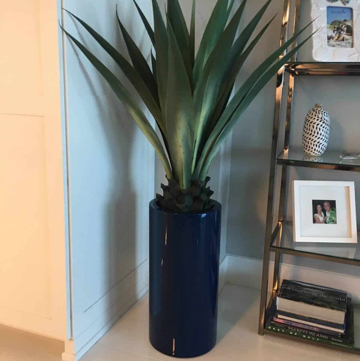 Jay Scotts Corry Cylinder Planter