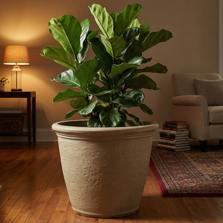 Anjelica Polyresin Large Round Outdoor Planter