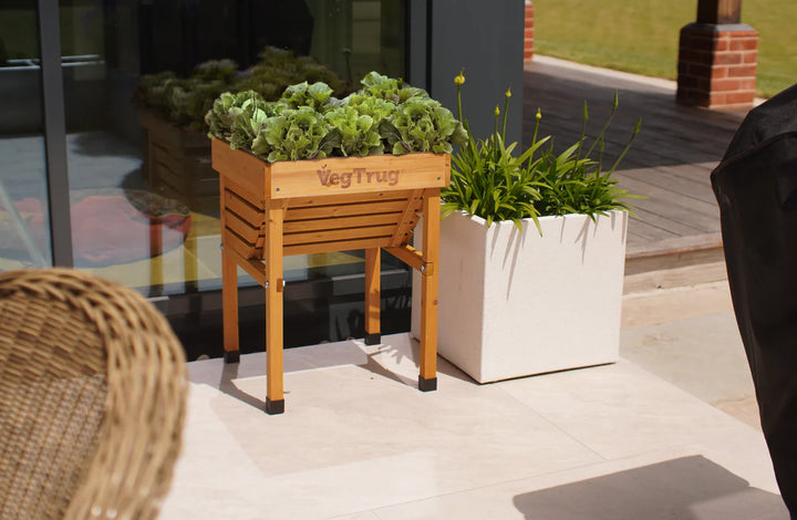 Kids Veg Trug