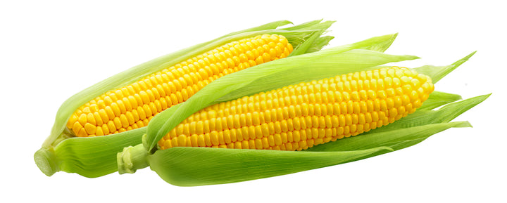 Corn Bags for MAZE 1.85 Gallon Kitchen Caddie- 400 Bags