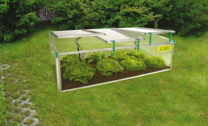 BioStar 1500 Premium Cold-Frame  Made in Austria