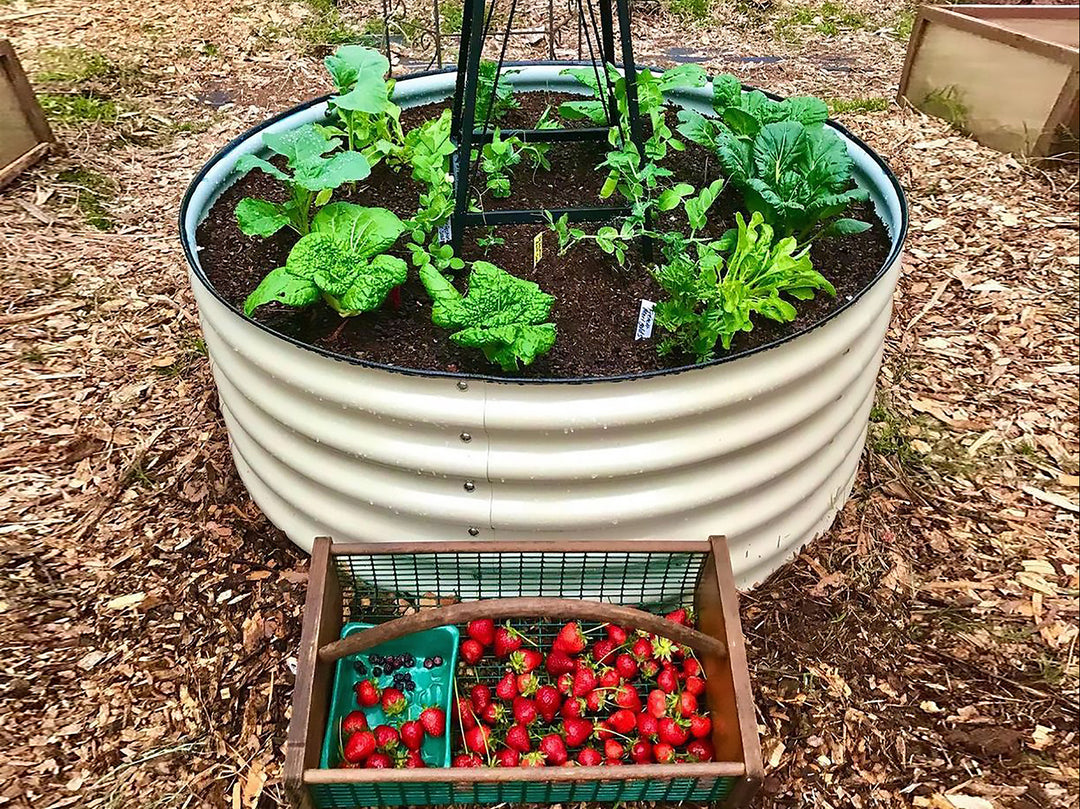 Vego Garden 17" Tall 42" Round Metal Raised Garden Bed