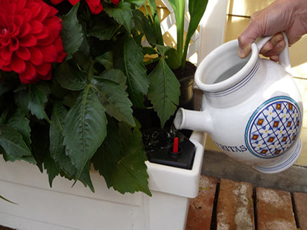 Calypso Planter with Trellis and Water Reservoir