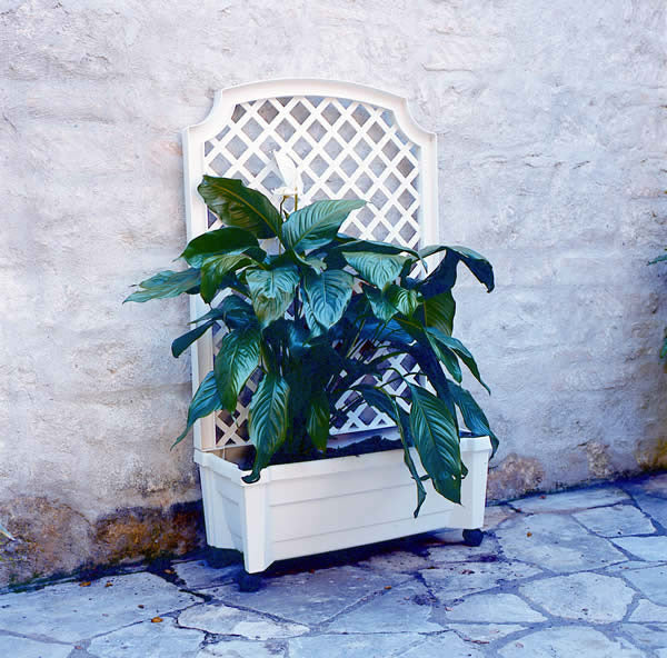 Calypso Planter with Trellis and Water Reservoir