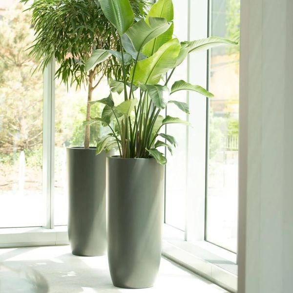 Jay Scotts Saint Tropez Tall Round Fiberglass Planter 12" Dia x 32" Tall